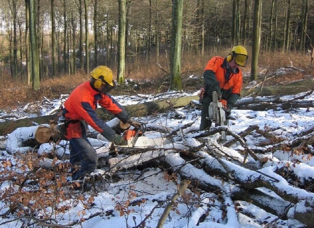 Forstdienstleistung Forst Rupboden